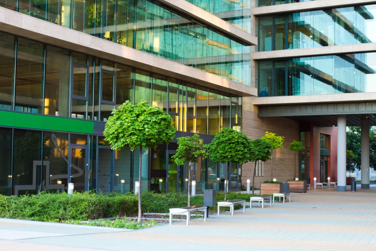 AMENAJĂRI SPAȚII VERZI