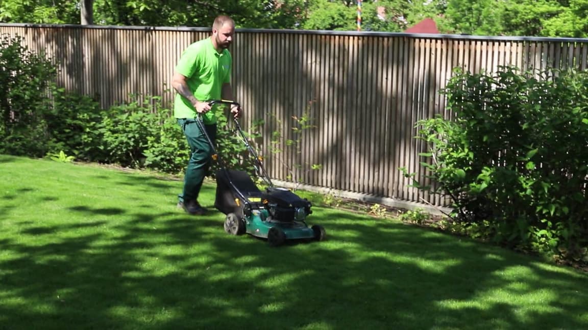 ÎNTREȚINERE SPAȚII VERZI