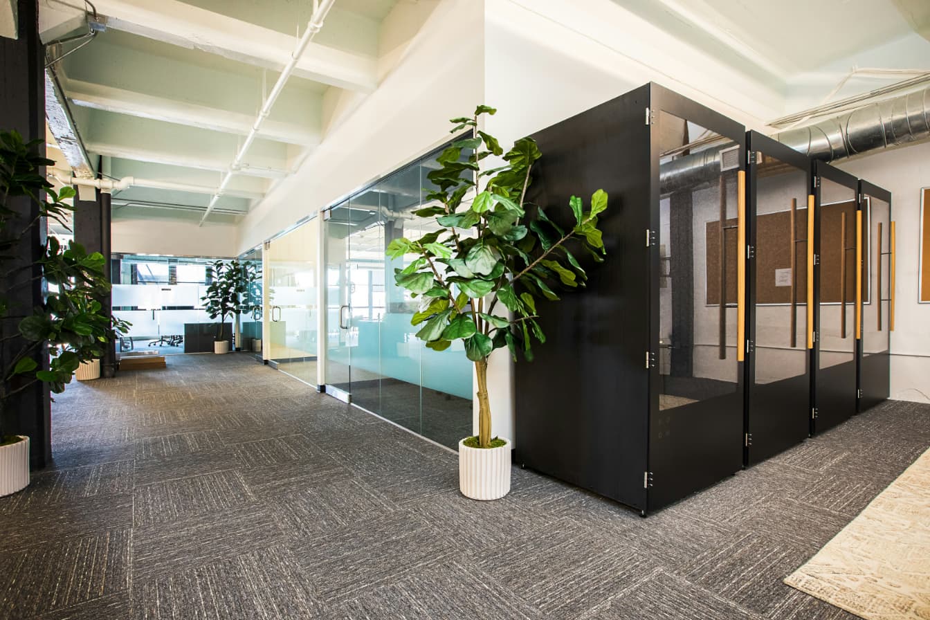 PLANTE INTERIOR